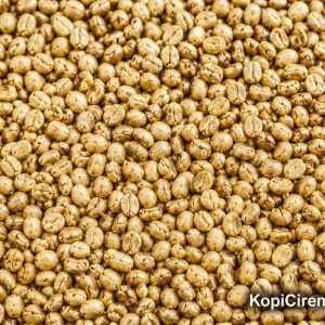 Arabika Honey GreenBean 1 Kg